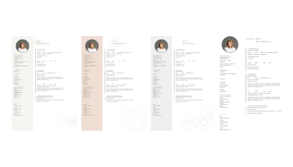 4 forskjelige PDF design av CV som kan du velge mellom og sender du den du liker mest.